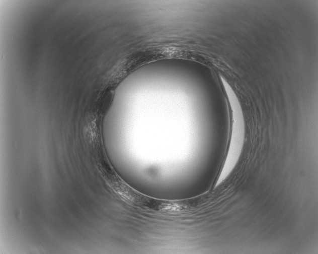 X0000053010611200508051202