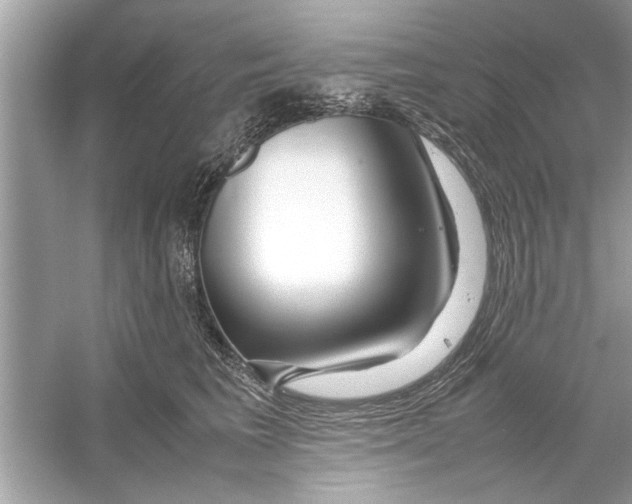 X0000053010613200508051202