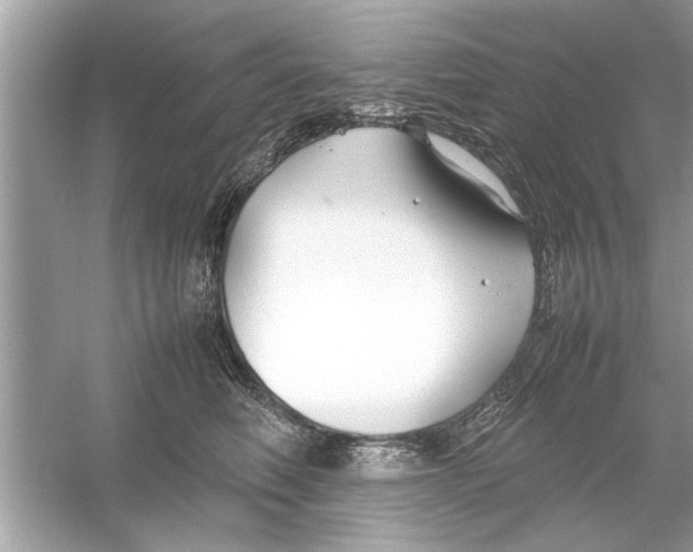 X0000053010614200508051202