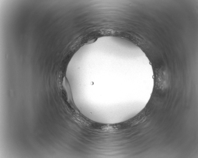 X0000053010616200508051202