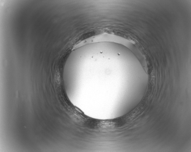 X0000053010617200508051202