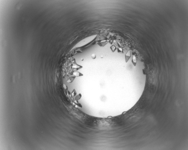 X0000053010618200508051202