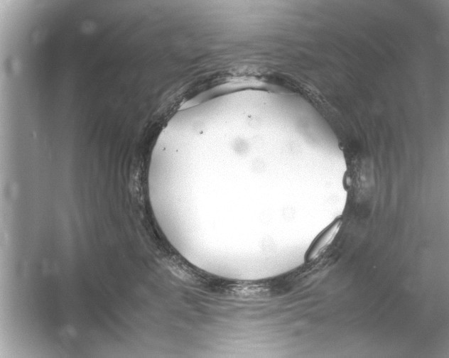 X0000053010619200508051202