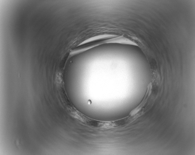 X0000053010621200508051202