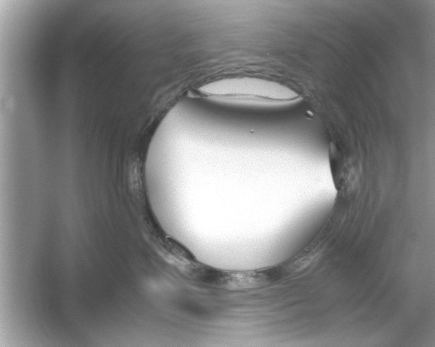 X0000053010623200508051202