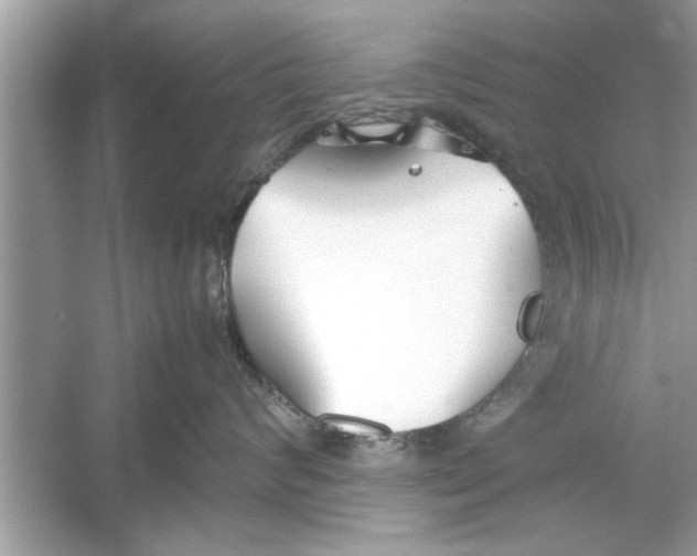 X0000053010624200508051202