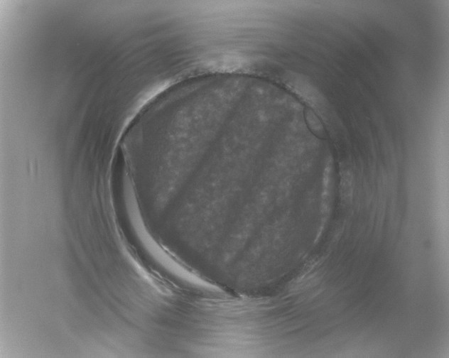 X0000053010626200508051201