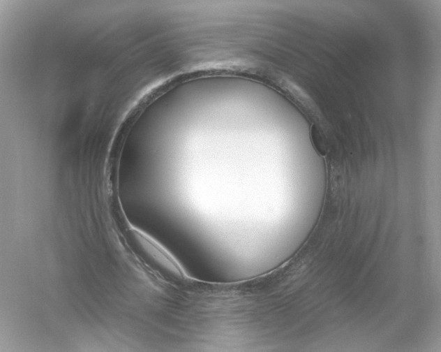 X0000053010628200508051201