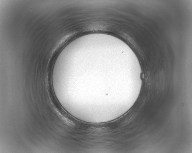 X0000053010629200508051201