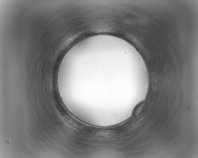 X0000053010631200508051201