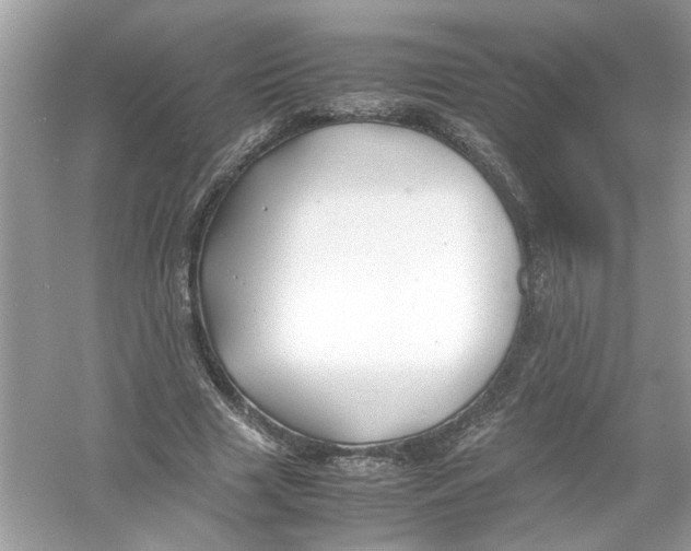 X0000053010633200508051201