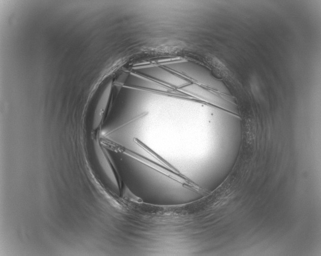 X0000053010634200508051201