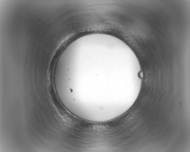 X0000053010636200508051201