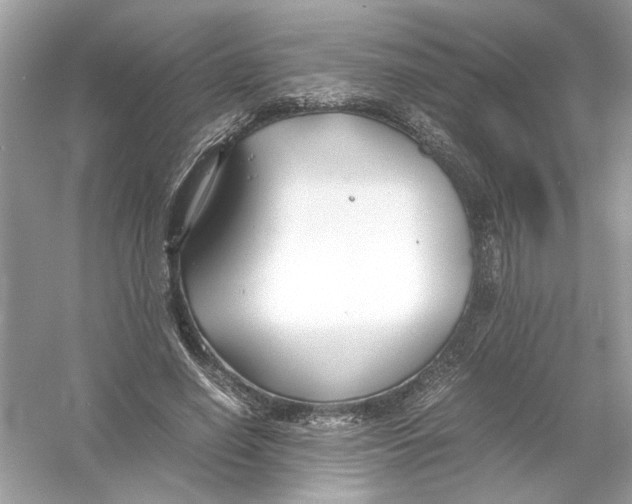 X0000053010638200508051201