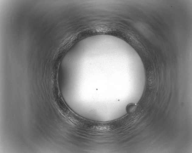 X0000053010639200508051201