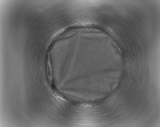 X0000053010640200508051201