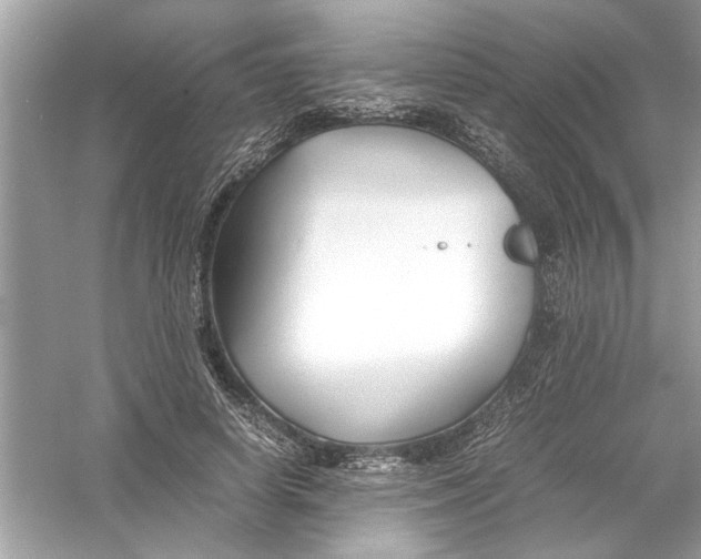 X0000053010642200508051201