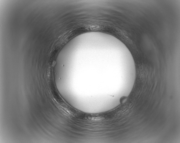 X0000053010645200508051201