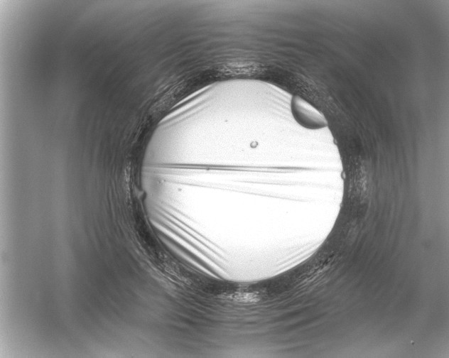 X0000053010647200508051201