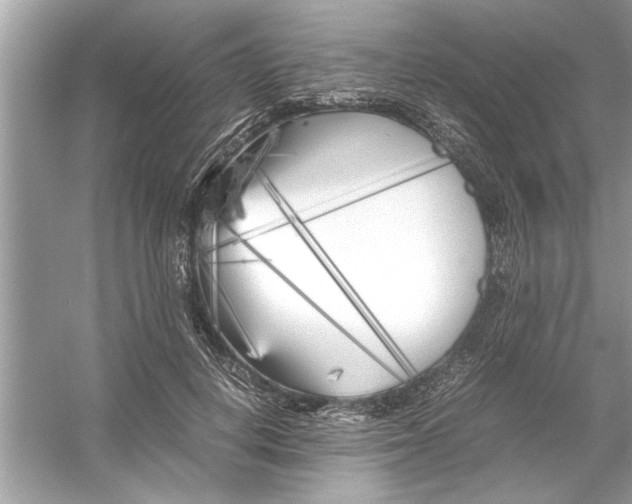 X0000053010648200508051201