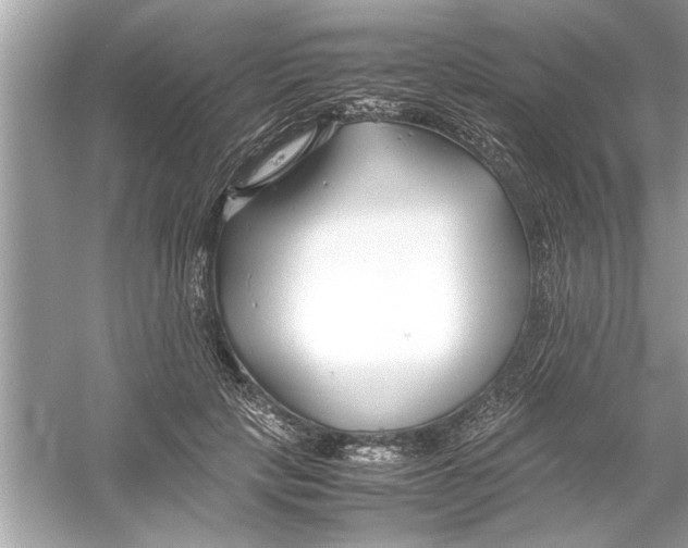 X0000053010649200508051201