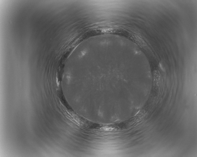 X0000053010650200508051201