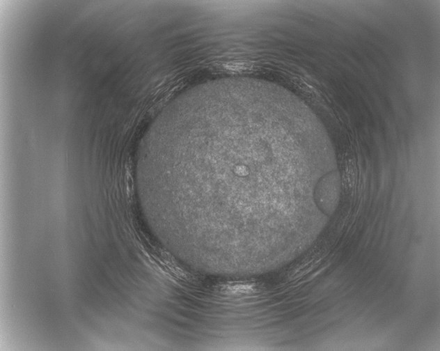 X0000053010651200508051201