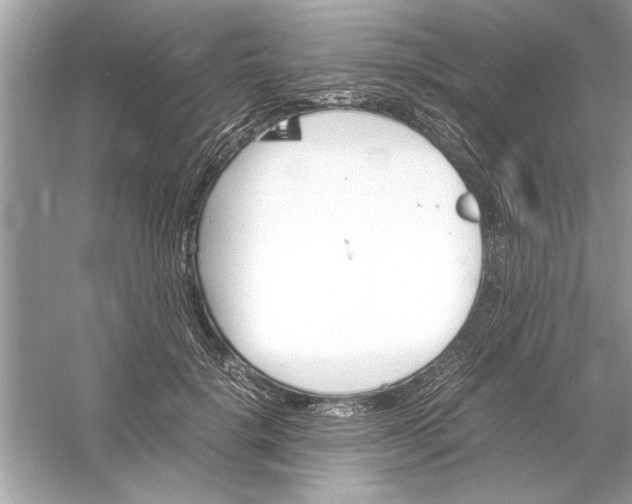 X0000053010652200508051201