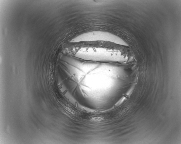 X0000053010653200508051201