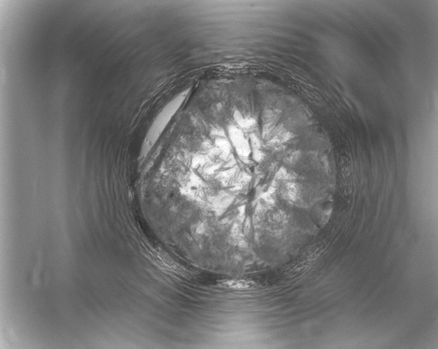 X0000053010654200508051201