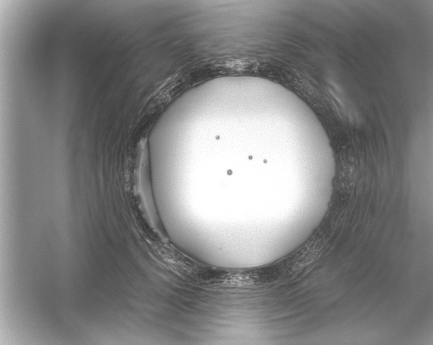 X0000053010656200508051201