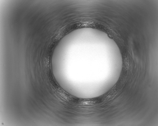 X0000053010657200508051202