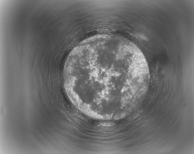 X0000053010659200508051202