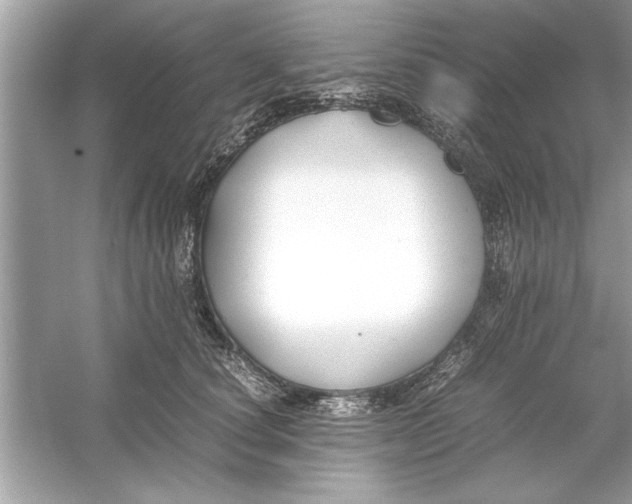 X0000053010660200508051202