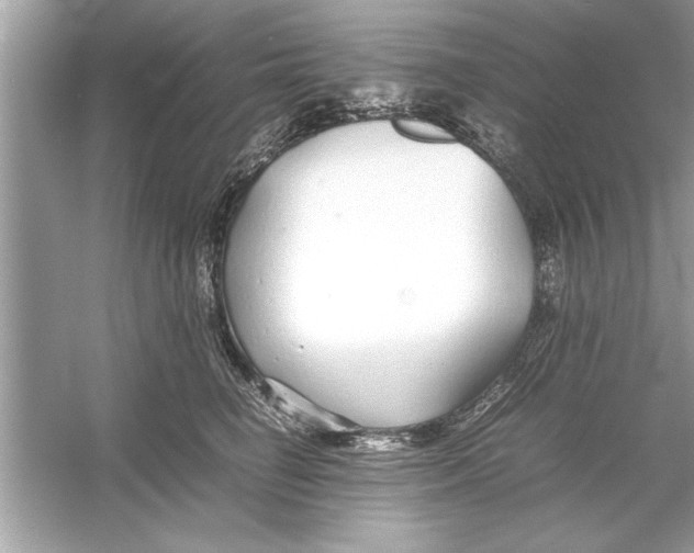 X0000053010662200508051202