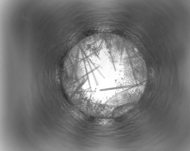 X0000053010663200508051202