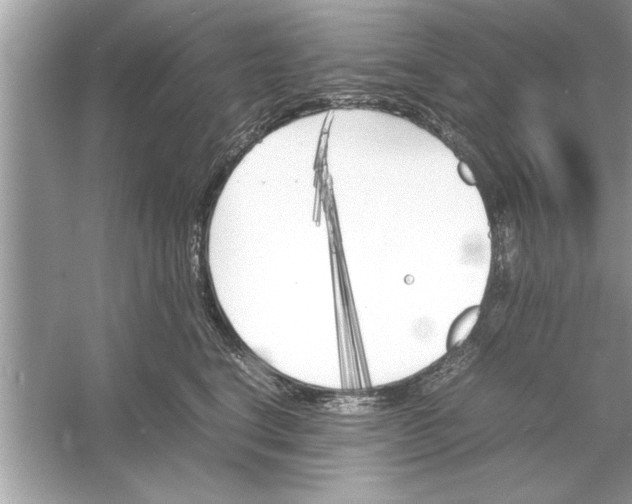 X0000053010664200508051202