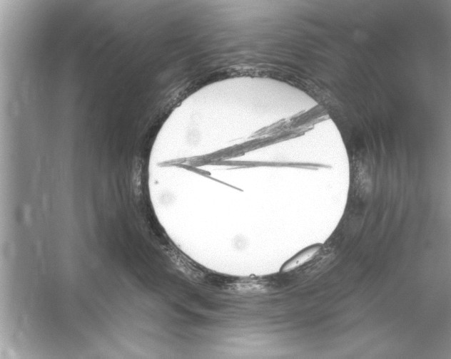 X0000053010668200508051202