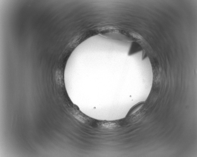 X0000053010669200508051202