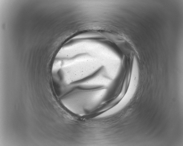 X0000053010673200508051201