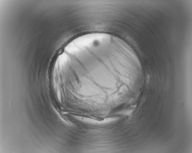 X0000053010674200508051201