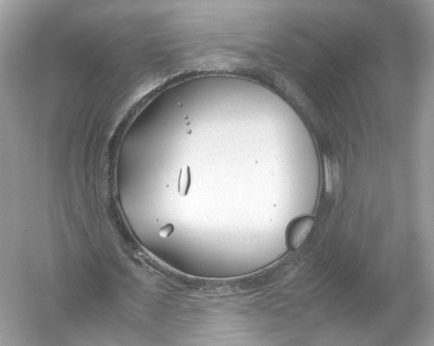 X0000053010675200508051201