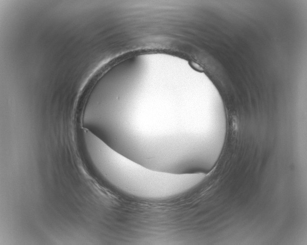 X0000053010676200508051201