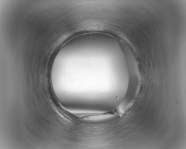 X0000053010677200508051201