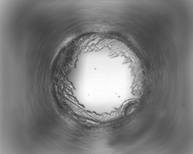 X0000053010679200508051201