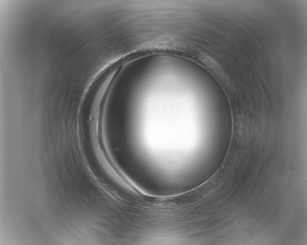 X0000053010680200508051201