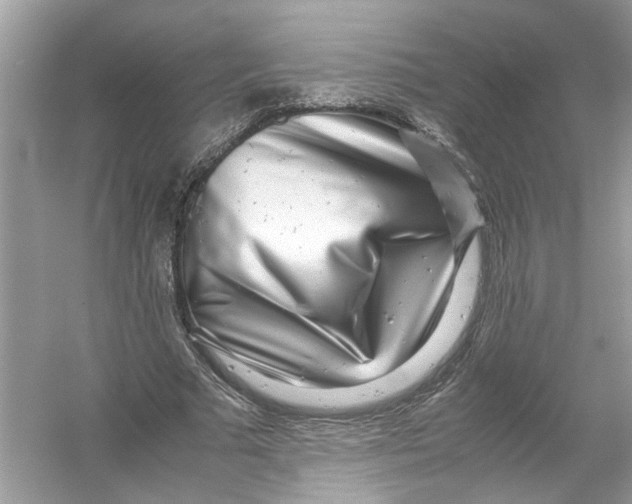 X0000053010681200508051201