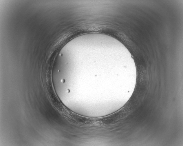 X0000053010683200508051201