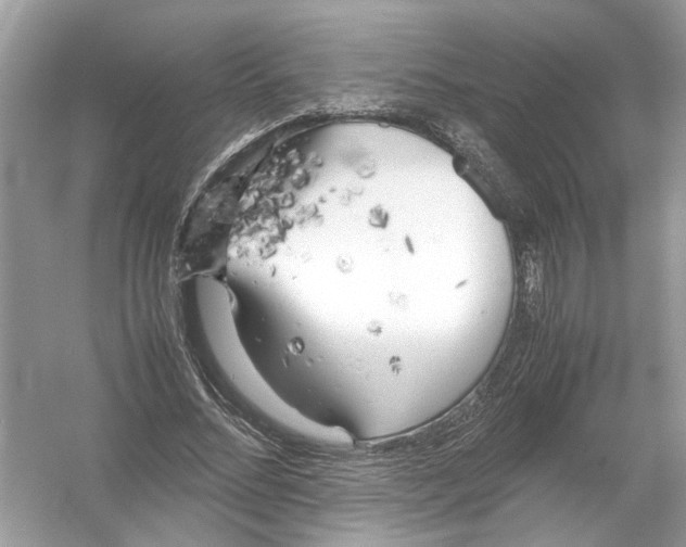 X0000053010684200508051201