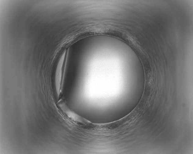 X0000053010685200508051201